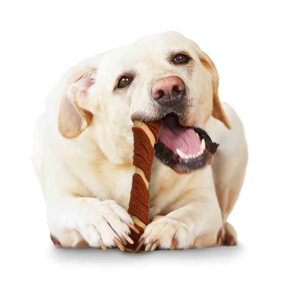Nylabone Hueso Power Chew Porkhide, Sabor Tocino & Mantequilla De Maní L, , large image number null